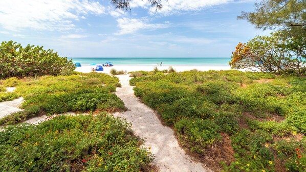 Un sendero que conduce a una playa con tiendas de campaña y personas a lo lejos.