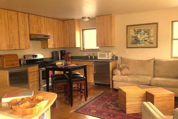 Living/Kitchen area