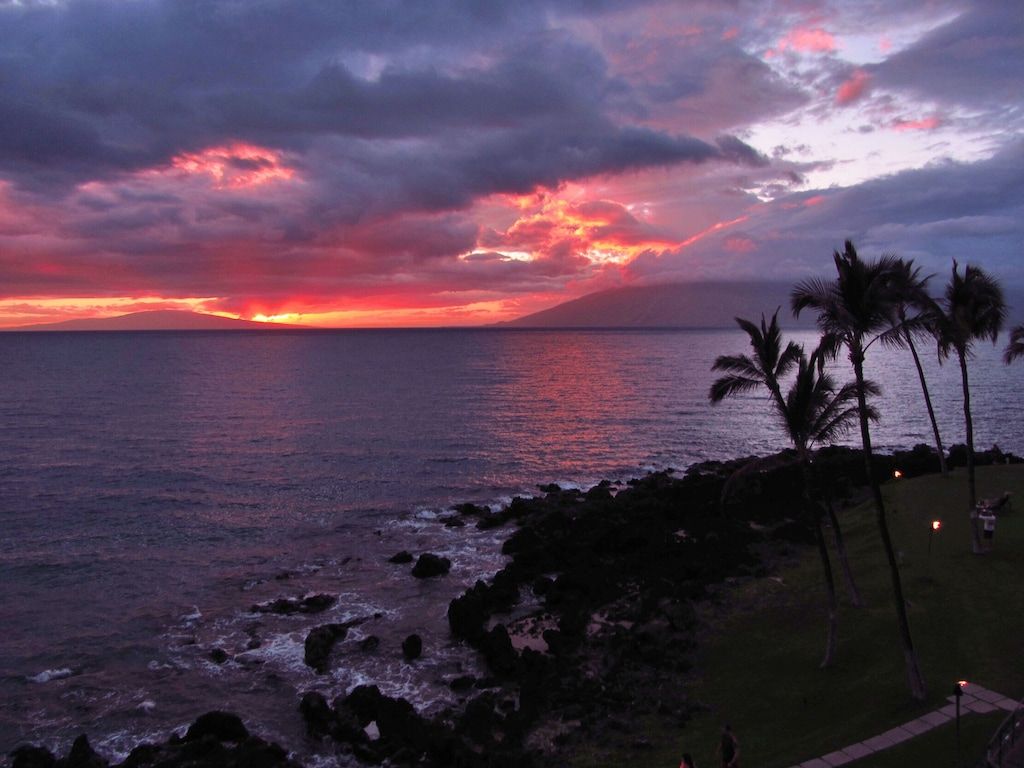 Un coucher de soleil sur une plage bordée de palmiers et d’une côte rocheuse.