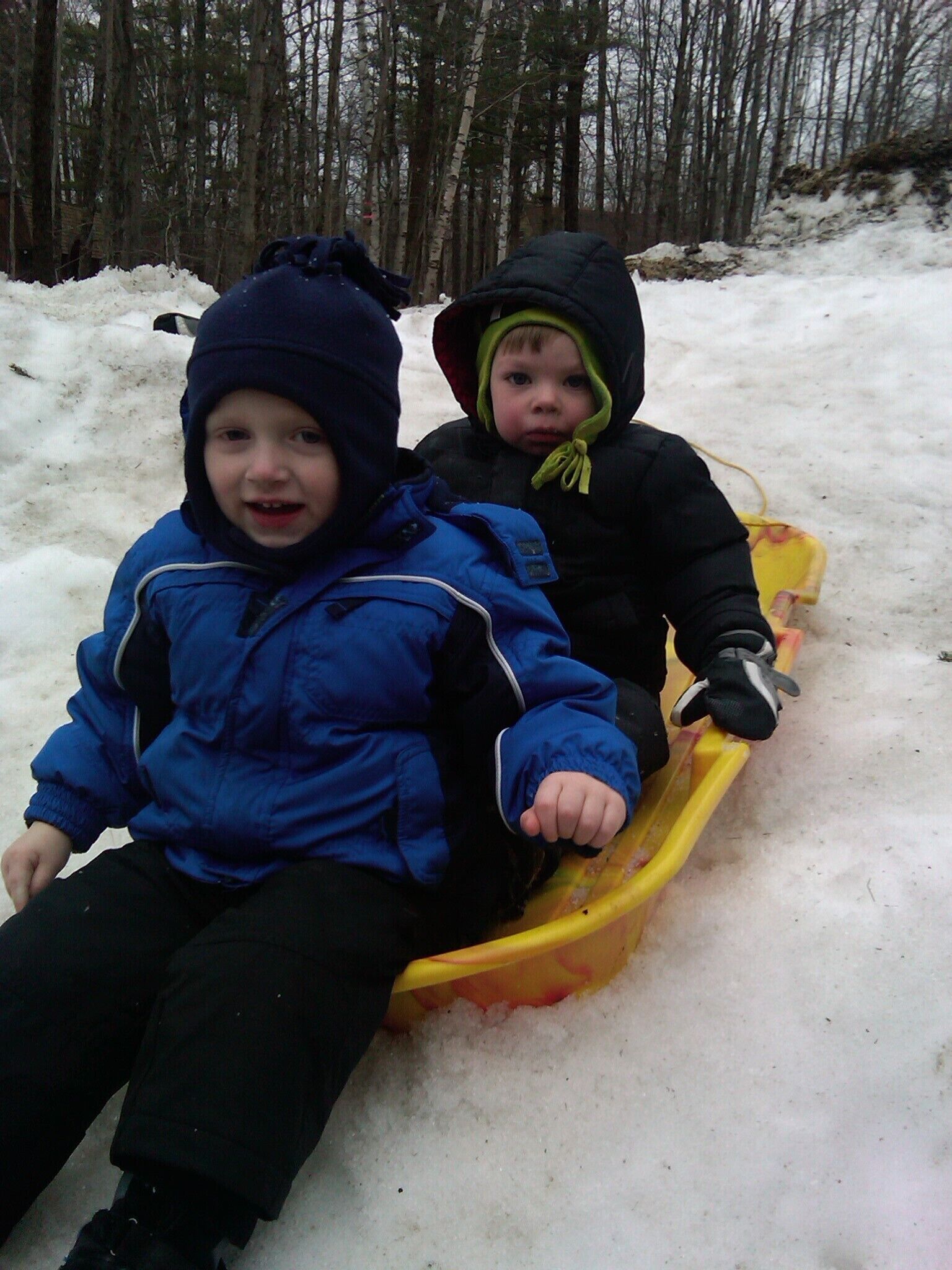 Two children sledding on a yellow sled in a snowy forest.