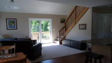 TV, fireplace, DVD player, books