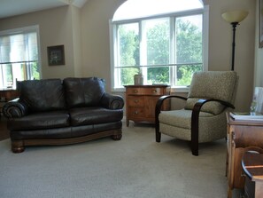 TV, fireplace, DVD player, books