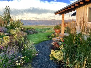 Property grounds - Ross Creek Cabins Rent All 5  (Belgrade)