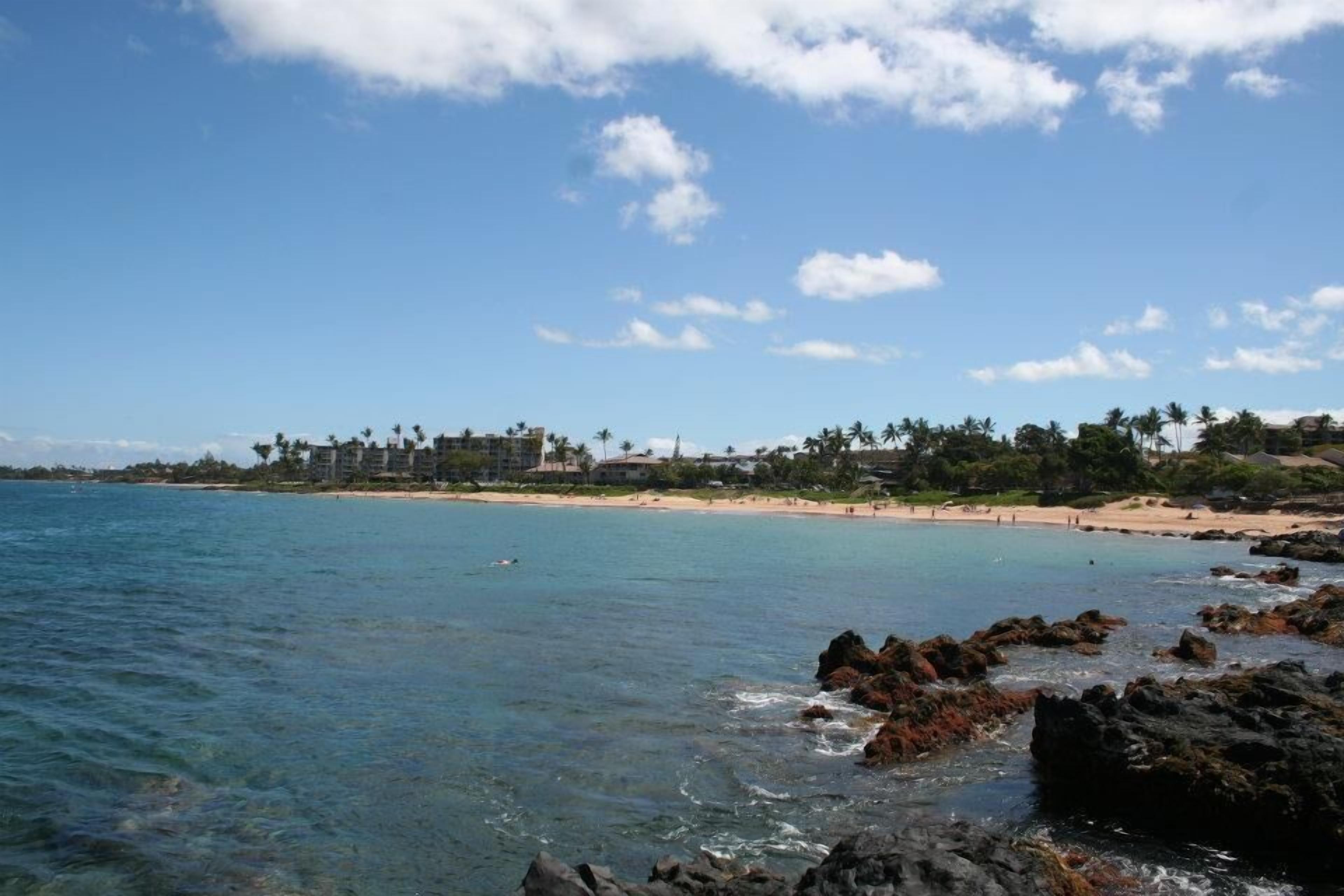 A coastal view with clear blue water, rocky shoreline, and a beachfront with buildings and palm trees in the background.