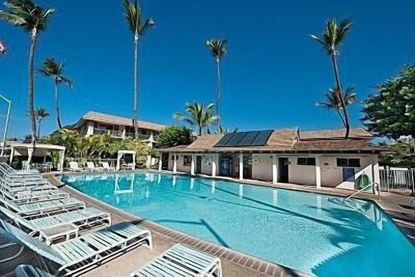 A swimming pool with lounge chairs, palm trees, and a building with solar panels.