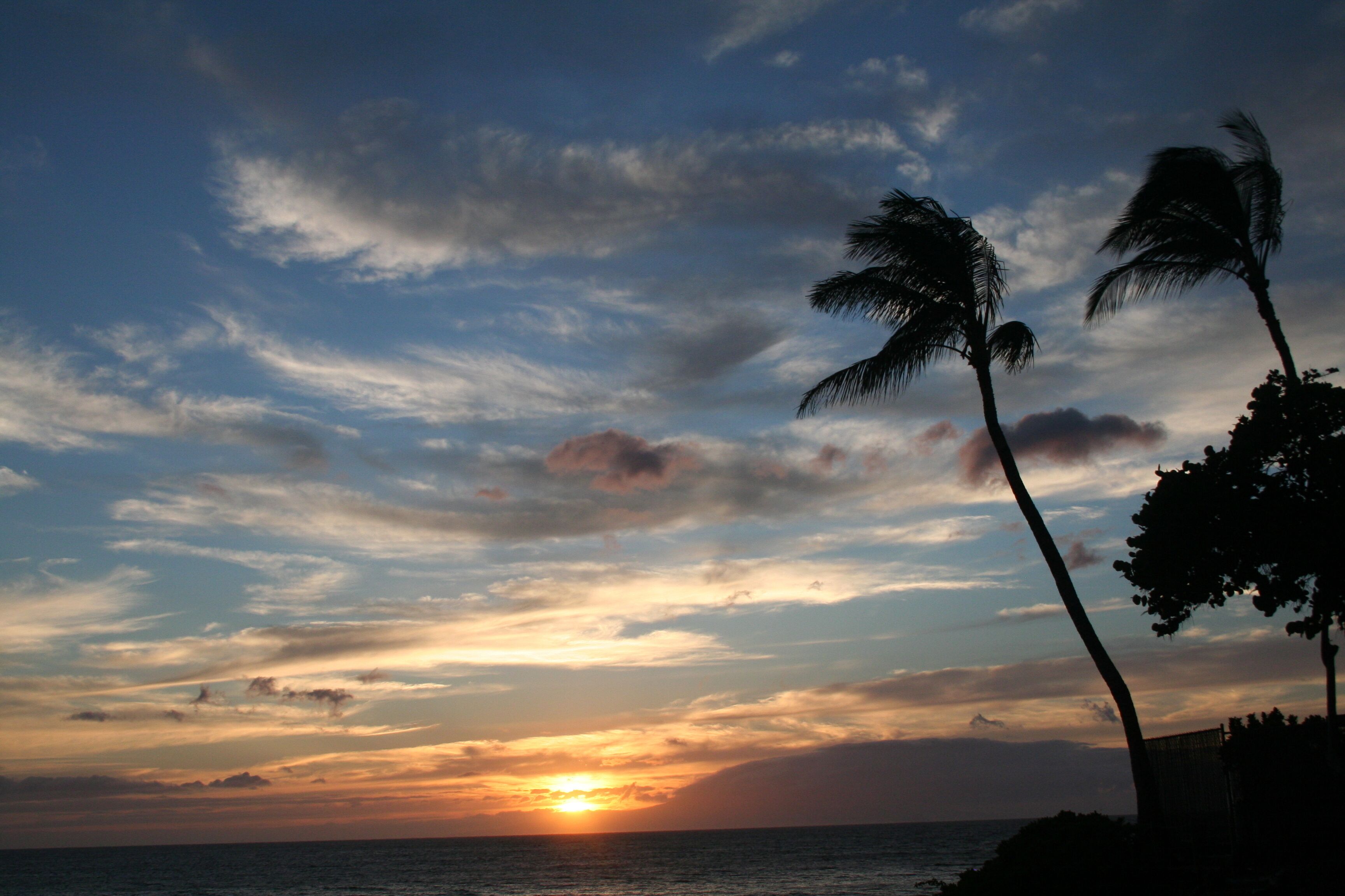 Un coucher de soleil sur l’océan, avec des palmiers se découpant en silhouette sur le ciel.