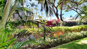 A lush garden with various plants and trees, a red fence, and a clear blue sky. - Stay in Kihei - Newly Updated - Three Minute Walk to Kamaole II Beach! (Kihei)