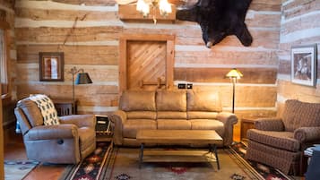 Älytelevisio, takka, DVD-soitin, kirjoja