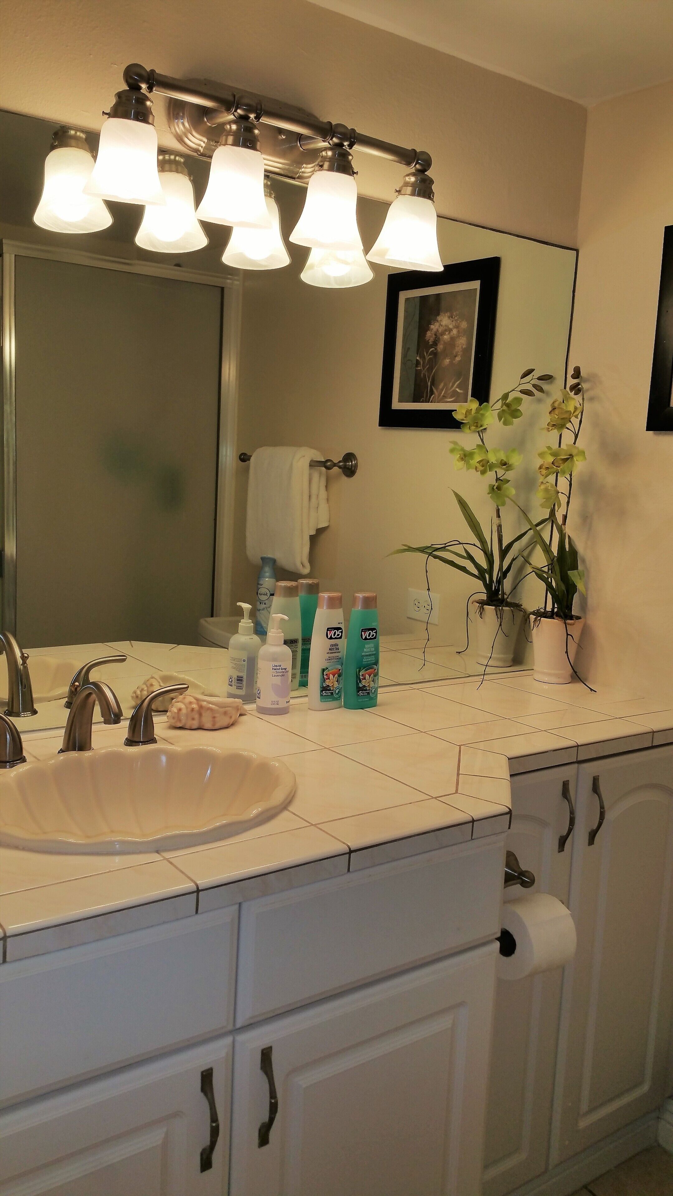 A bathroom with a white sink, vanity, and a mirror. There are three light fixtures above the mirror, a towel rack, and a potted plant on the counter.
