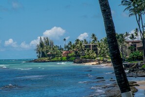 On the beach - GREAT LOCATION, SPACIOUS DIRECT OCEANFRONT 2 BEDROOM CONDO (Lahaina)