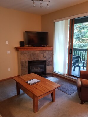 智能电视、壁炉、DVD 播放器、书