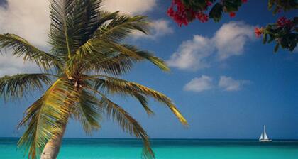 SERENITY CONDO ON BEAUTIFUL EAGLE BEACH
2 bedroom/2bath - Sleeps 6