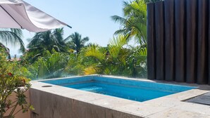 A rectangular swimming pool with clear blue water, surrounded by palm trees and tropical plants. - Ocean View Condo in Punta Mita, Beach Clubs access, Golf Cart, Breakfast, Pool. (PUNTA MITA)