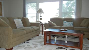 Smart TV, fireplace, DVD player, books
