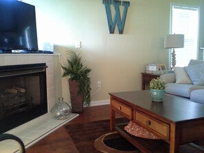 電視、DVD 播放機、書籍、影像庫