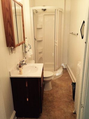 Chuveiro, secador de cabelo, toalhas de banho, papel higiênico