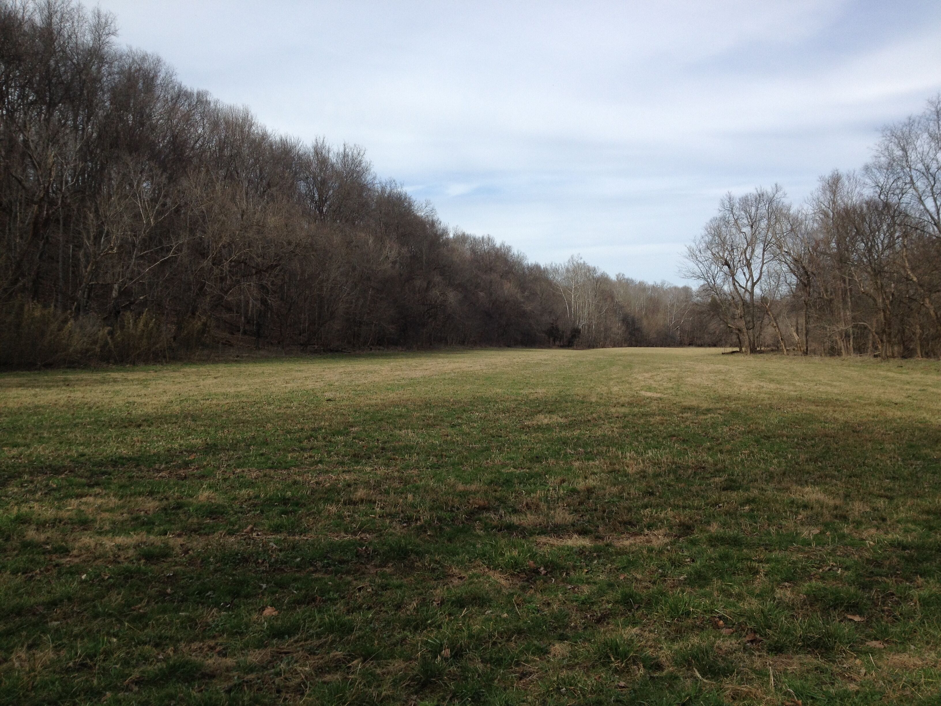 A grassy field with trees in the background.