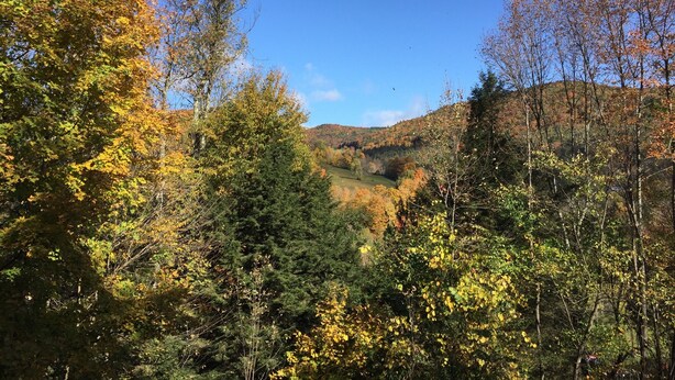 A forested valley with a clear sky. - Killington area home - 4-seasons, hot tub and A/C (Pittsfield)