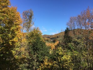 Ein von Bäumen bewachsener Tal mit blauem Himmel.