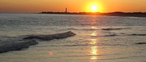 Vlak bij het strand