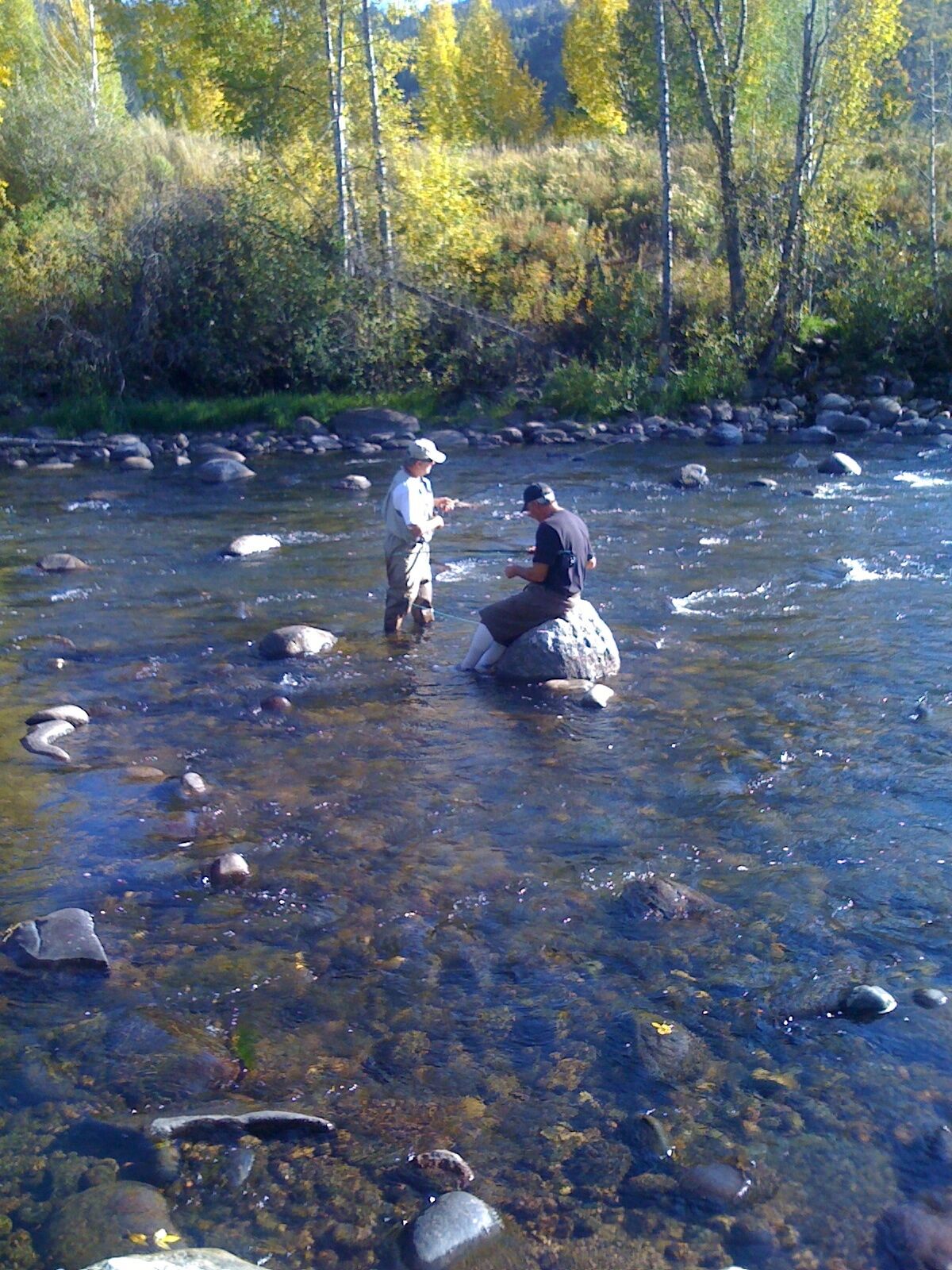 Ein Fluss mit klarem Wasser und Felsen, umgeben von Bäumen und Vegetation.