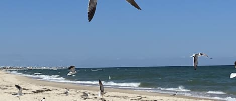 Beach nearby, beach towels