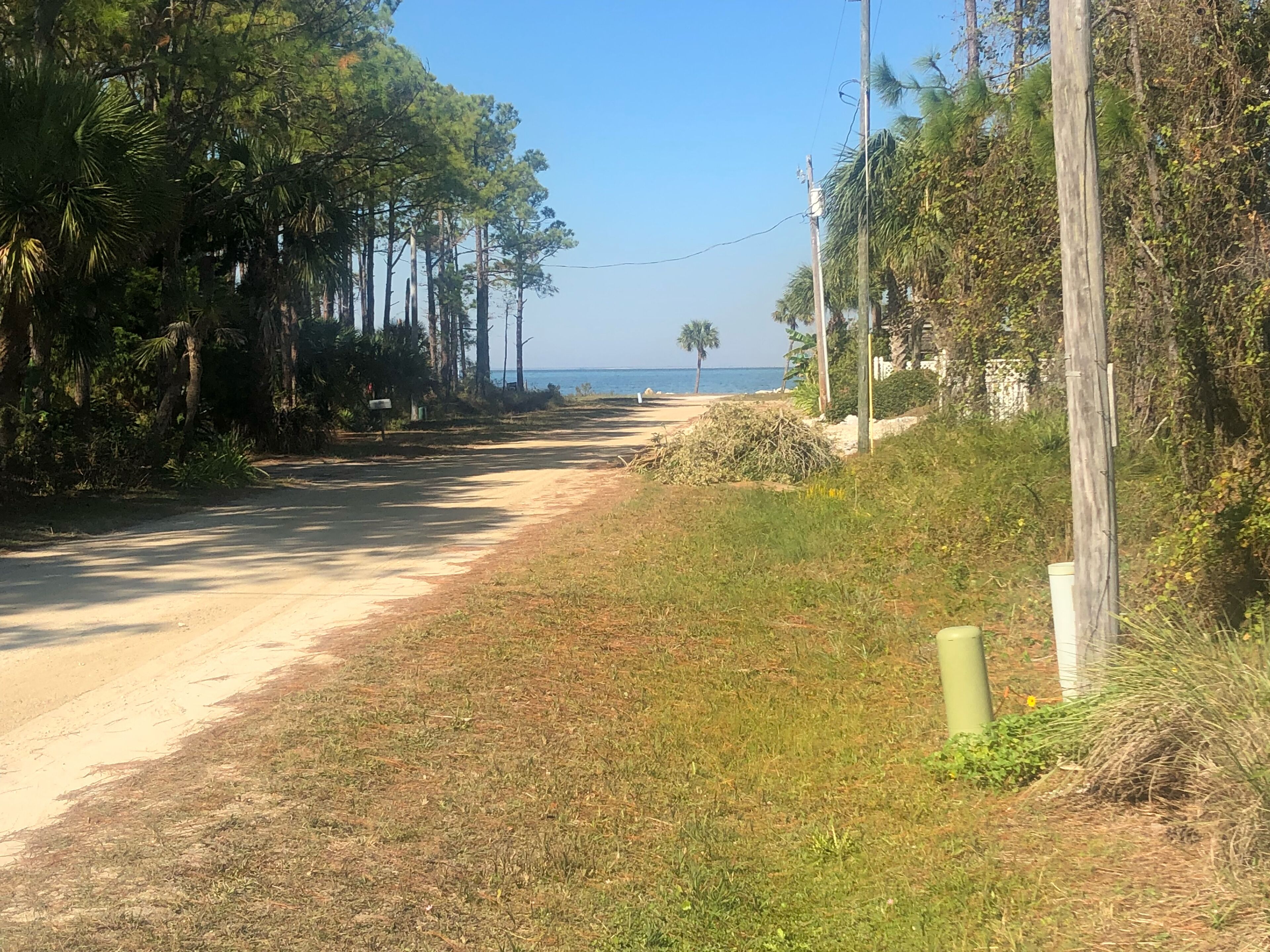 Un camino de tierra que lleva a una playa con palmeras y cielo despejado.