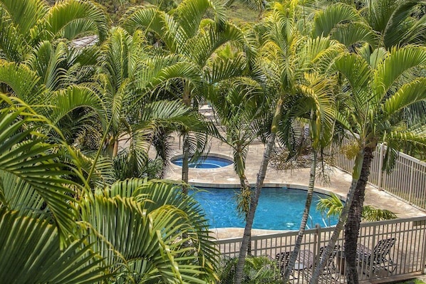 A pool surrounded by palm trees, with a fence and chairs around it.
