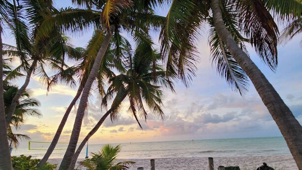 A beach path with palm trees and a wooden fence leading to the ocean. - GATED OCEANFRONT CONDO AT SMATHER'S BEACH (Key West)