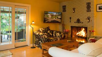 Smart TV, fireplace, DVD player, books