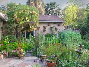 Property grounds - Private Garden Home with Large Saltwater Pool, Serene Office, Fireplace etc. (Los Angeles)