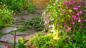 Ein Garten mit einem Kiesweg, gelben Blüten und rosafarbenen Blumen.