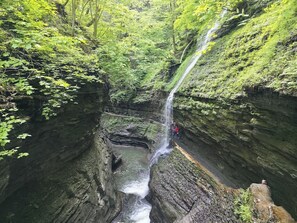 Luokittelematon kuva, 5 kautta 40, painike