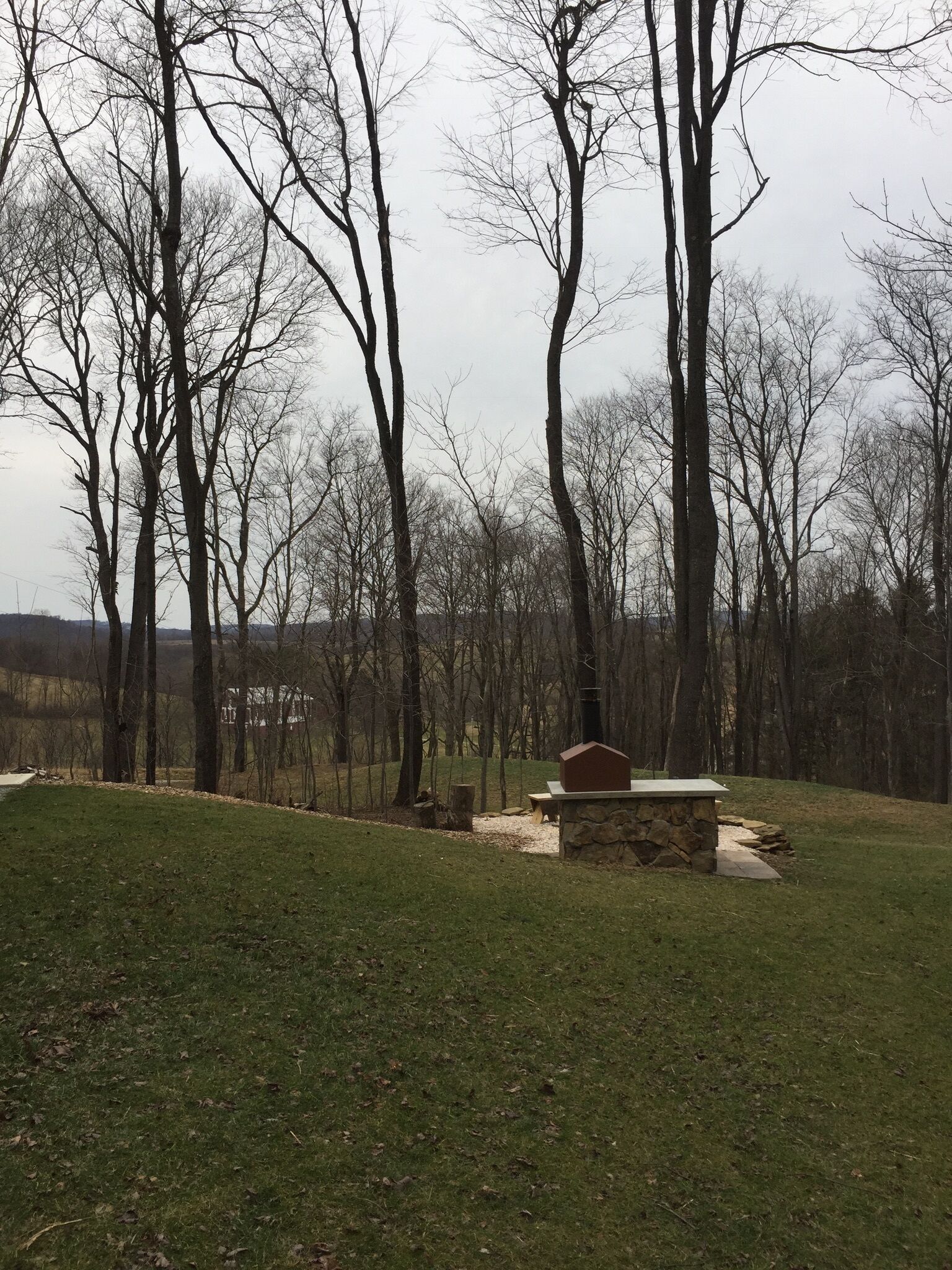 A grassy area with a stone structure and a chimney, surrounded by leafless trees.
