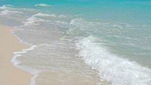 On the beach, sun-loungers, beach towels -  Check out this Condo Best Beach Location and Building in Daytona Beach Shores (Daytona Beach Shores)