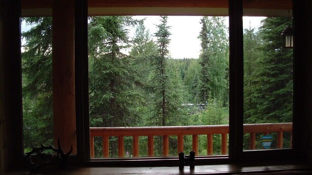 Una habitación con un ventanal grande que da a un área boscosa.