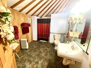 Hair dryer, towels, shampoo