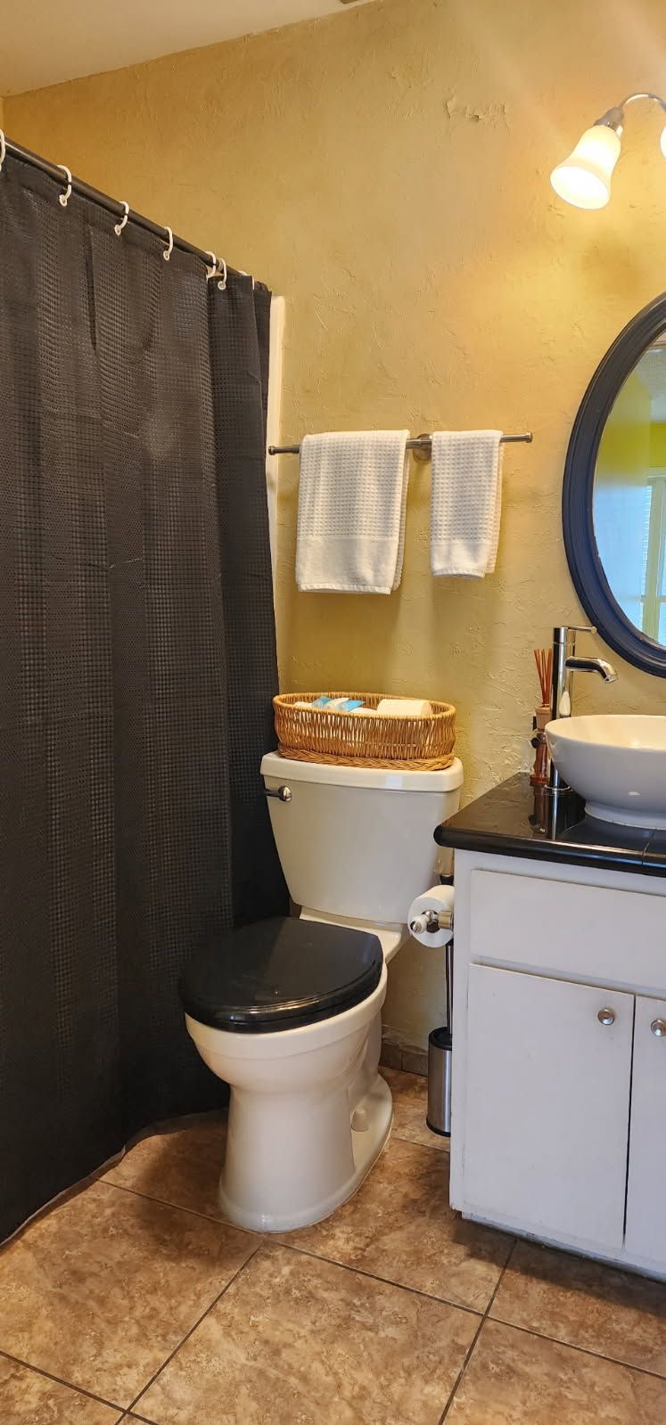 Une salle de bain équipée de toilettes, d’un lavabo, d’un miroir et d’un rideau de douche.