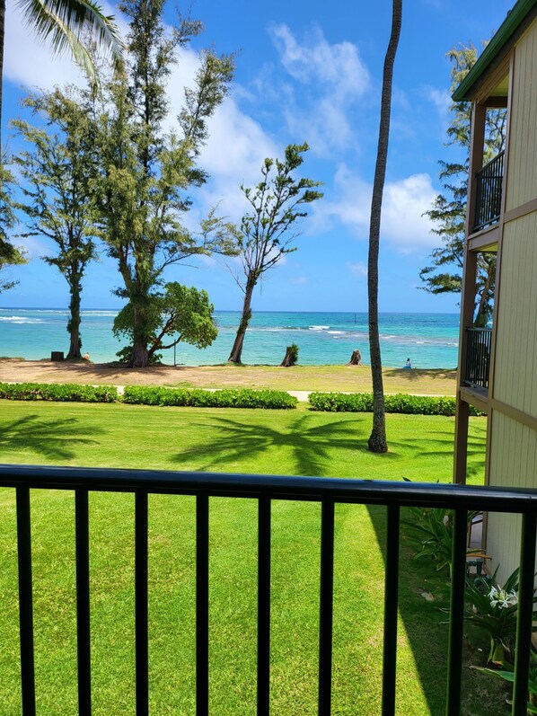 Property grounds - OCEANFRONT - BREATHTAKING!  PONO KAI Condo!! 2bd2bth! Washer/Dryer/AC (Kapaa)