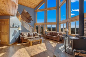 Smart TV, fireplace, video games, DVD player