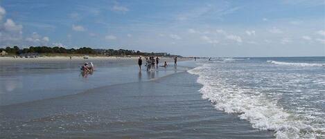 Playa en los alrededores