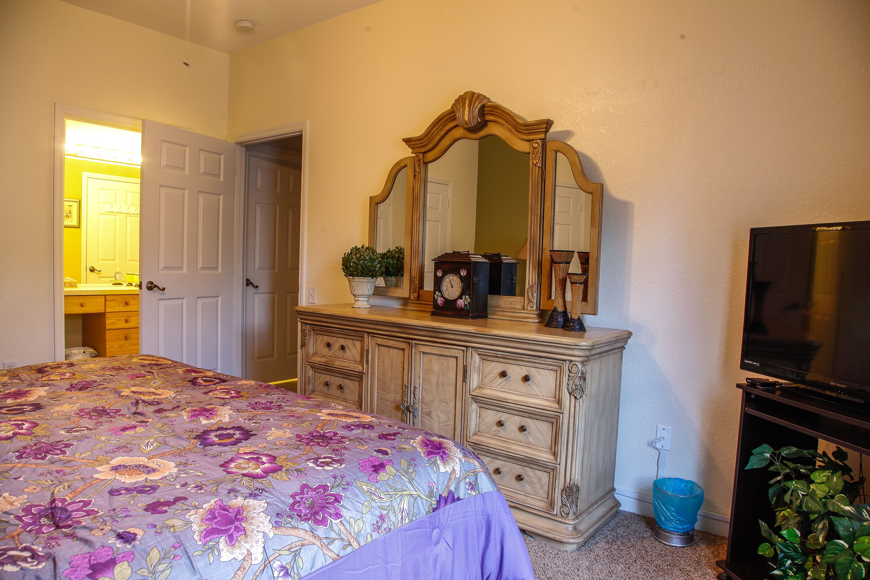 A bedroom with a bed, dresser, mirror, television, and a potted plant.