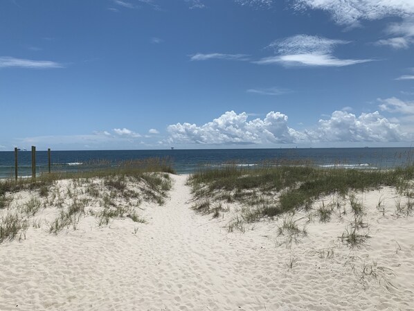 On the beach