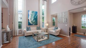 TV, fireplace, video games, books