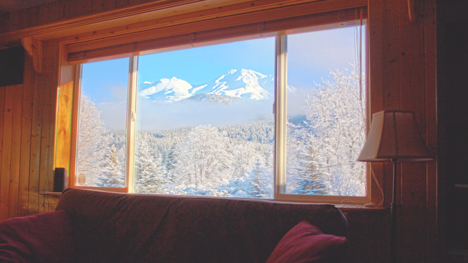 Fresh snow view! 