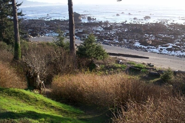 Trail to the beach during low tide - Lots of tide pools to discover ocean life.