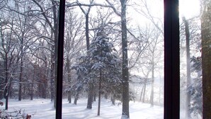 A snowy forest scene through a window.