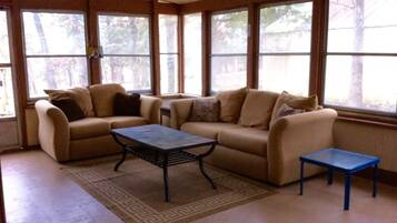 Smart TV, fireplace, DVD player, books