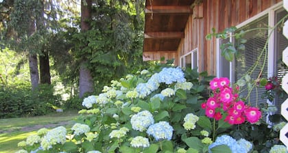 Great All Cedar Cabin auf dem Sol Duc River - In der Nähe der beliebtesten Plätze des Parks