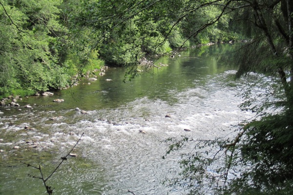 River from the property